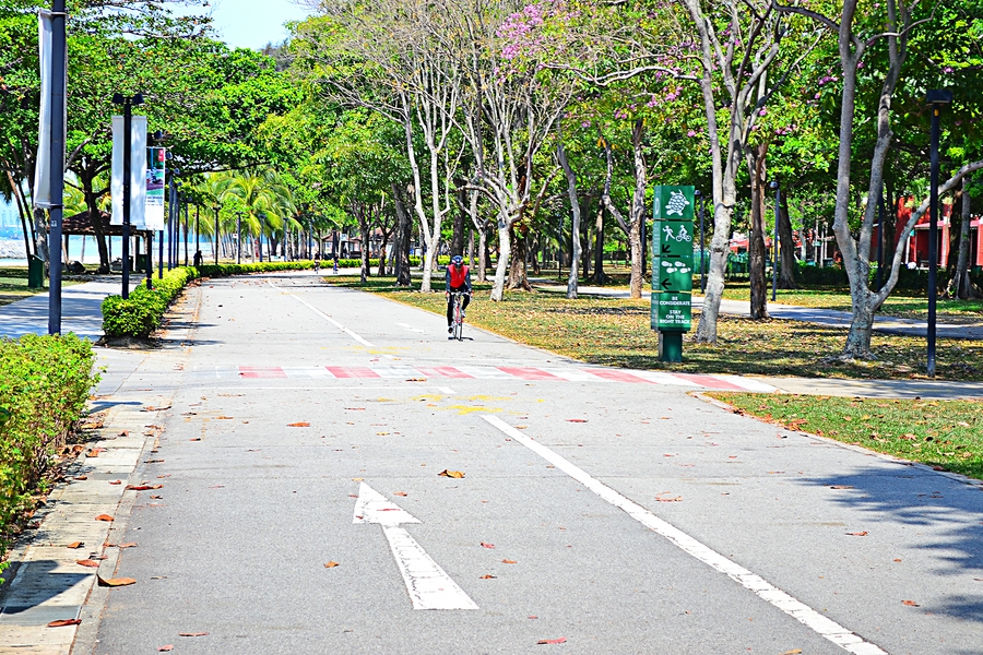 дорожка для велосипедистов в парке в Сингапуре