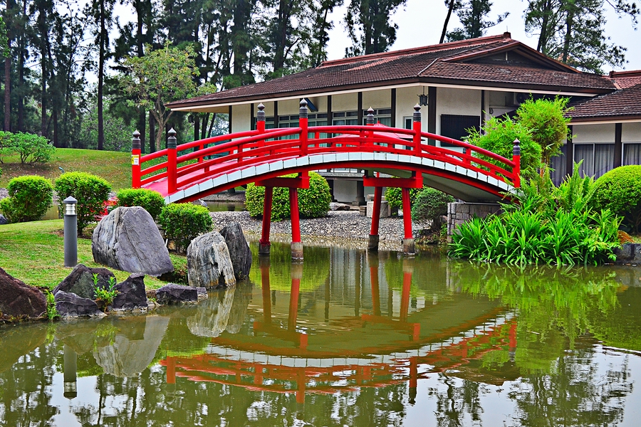 Мост через пруд в Японском саду