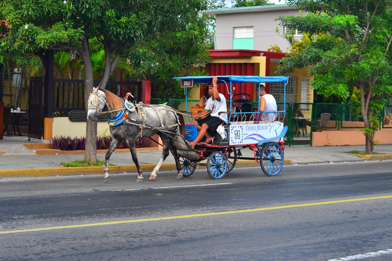 такси на лошадях в Варадеро