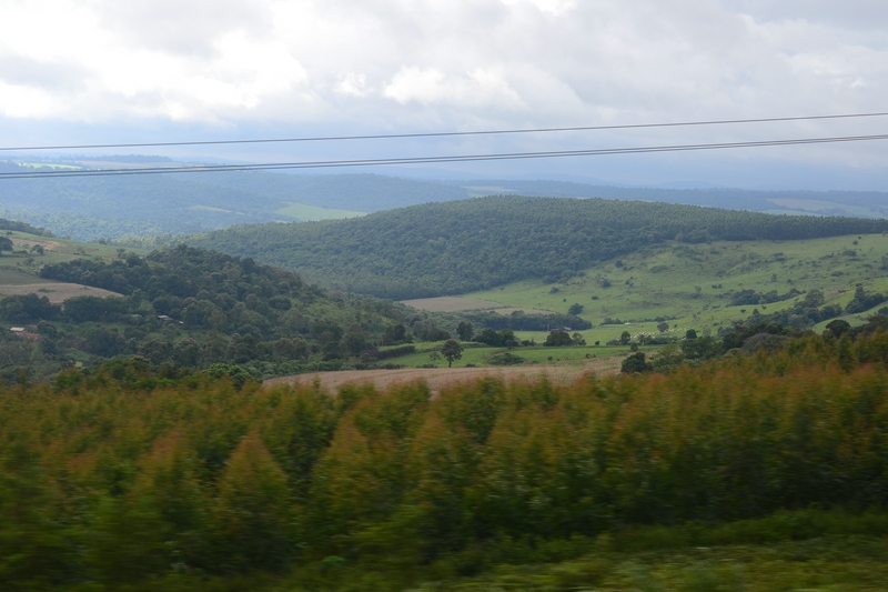 landscape Brazil en route to Foz do Iguaçu