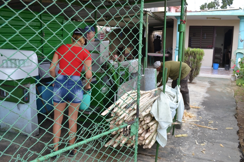 продажа тростникового сока на Кубе