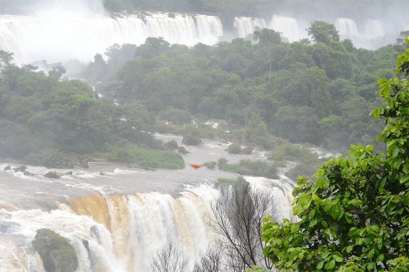 Водопады Игуасу в Бразилии
