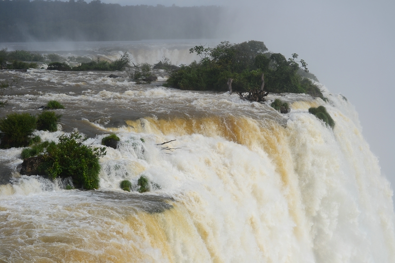 Rio Iguacu | The Iguazu River