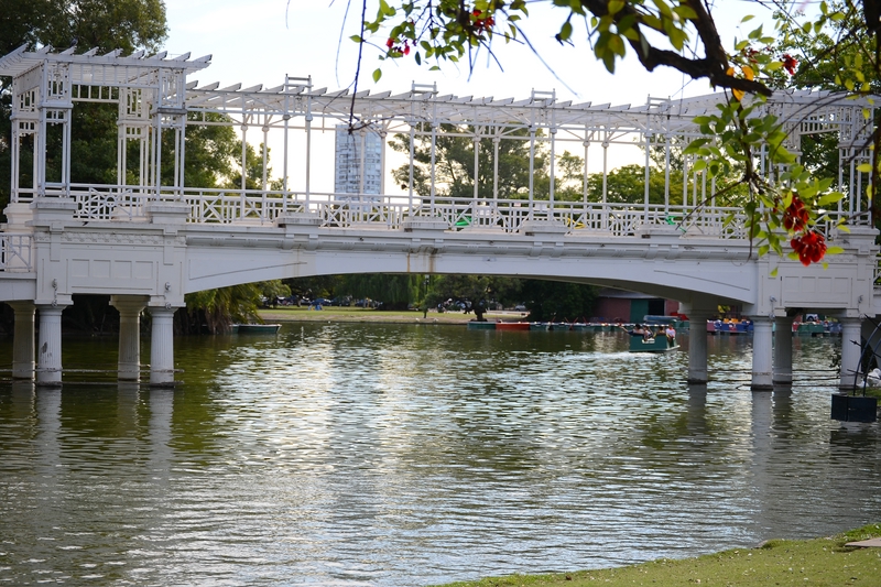 the bridge over the pond in the Park