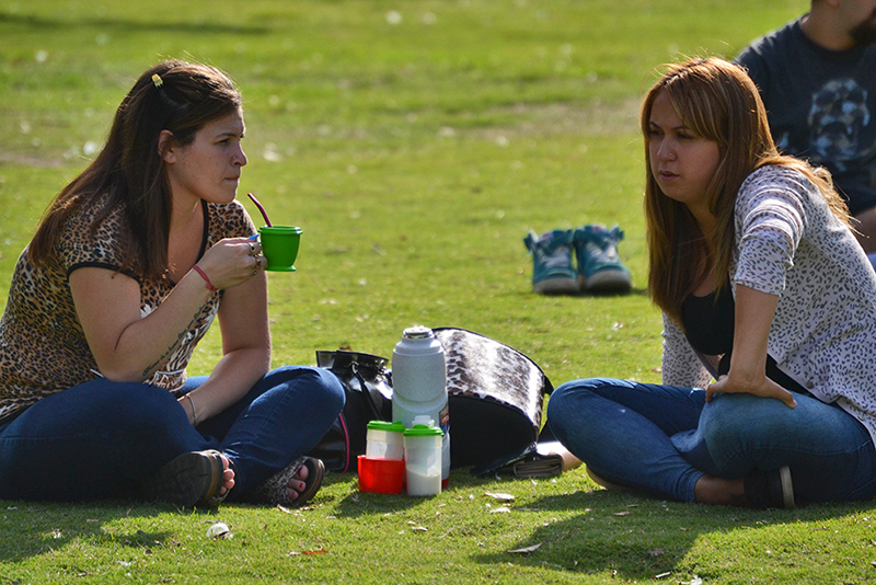Argentines drink mate in the Park