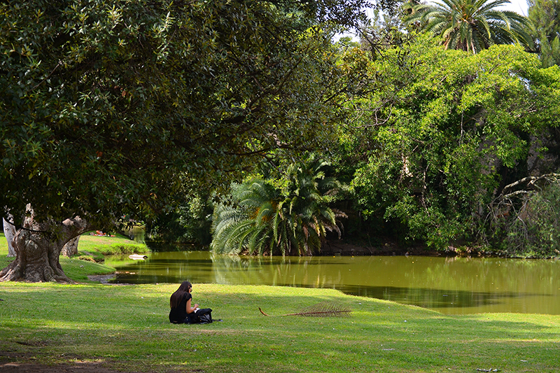 Park Jardin Botanico