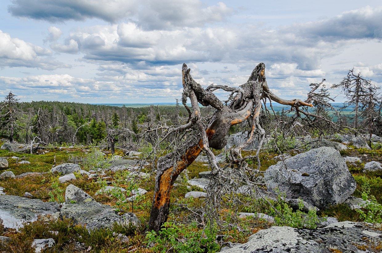 Landscapes Of Karelia