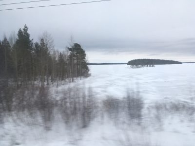 Вид из окна поезда по пути из Москвы в Мурманск