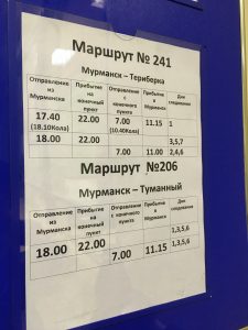 Расписание автобусов в Териберку из Мурманска